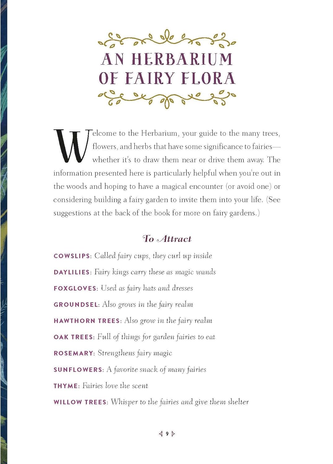 How to Spot a Fairy