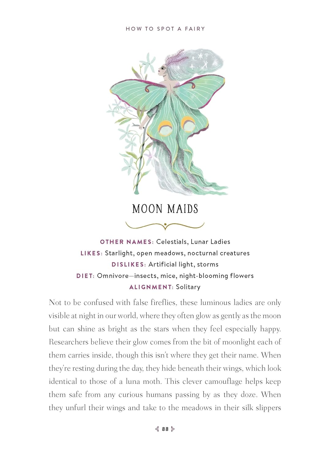 How to Spot a Fairy