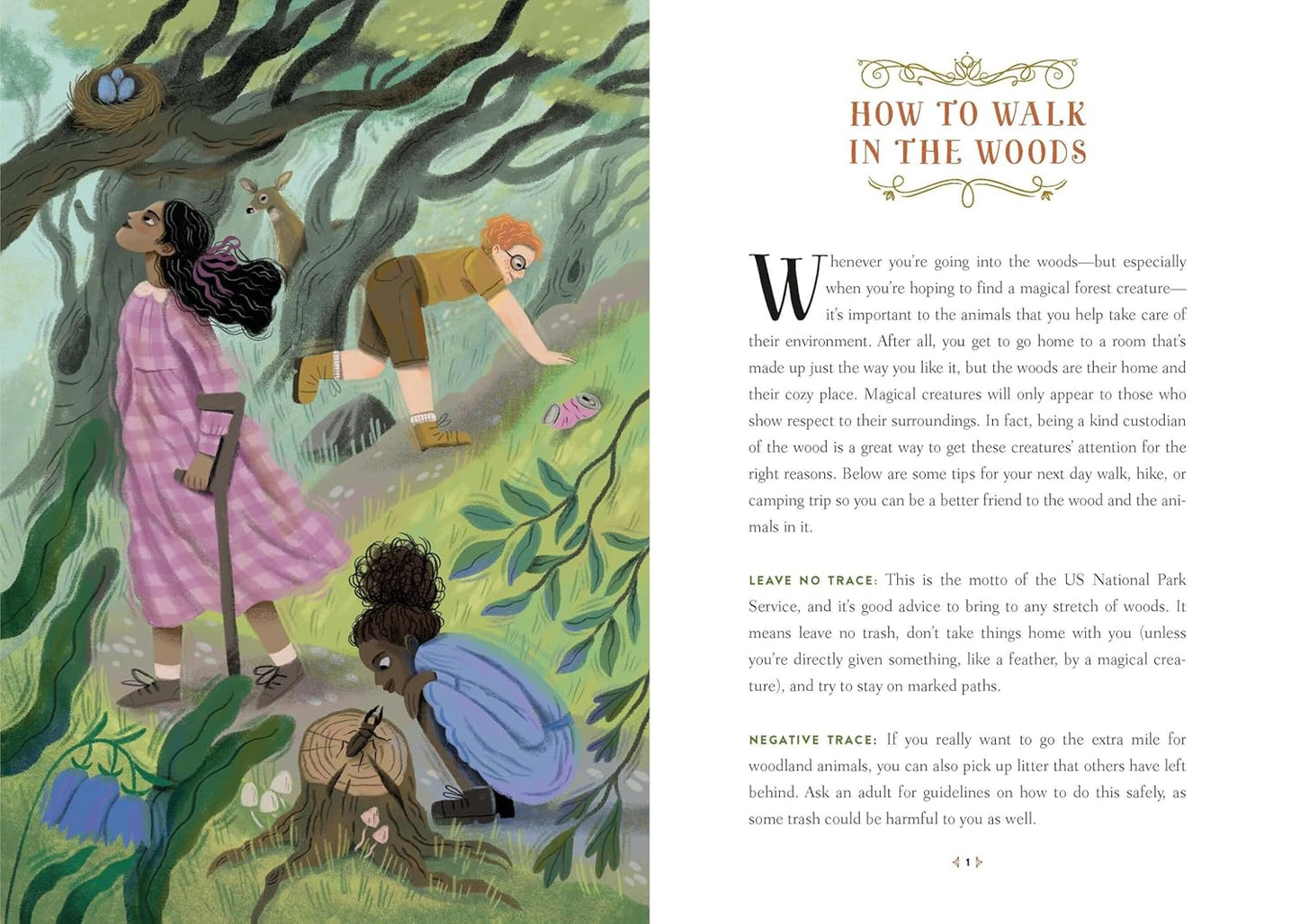 How to Spot a Magical Woodland Creature