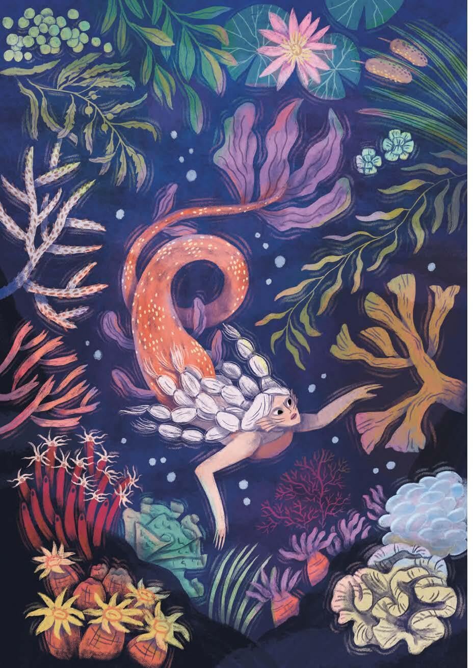 How to Spot a Mermaid