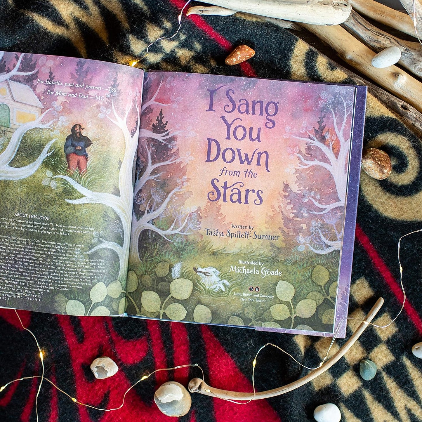 I Sang You Down from the Stars