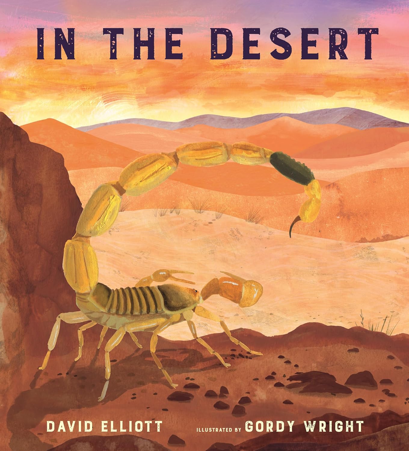 In the Desert (Paws, Fins, Feathers, Claws)