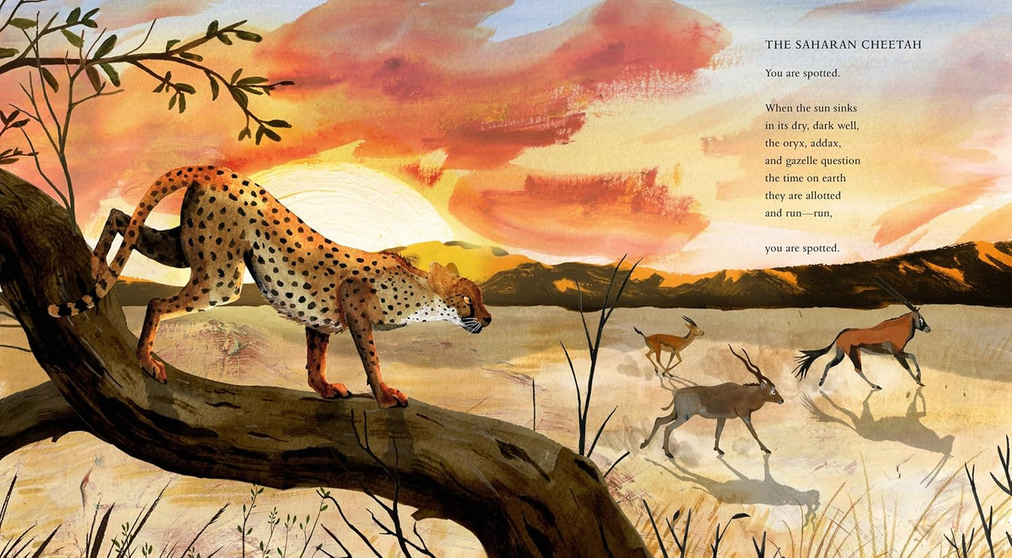 In the Desert (Paws, Fins, Feathers, Claws)