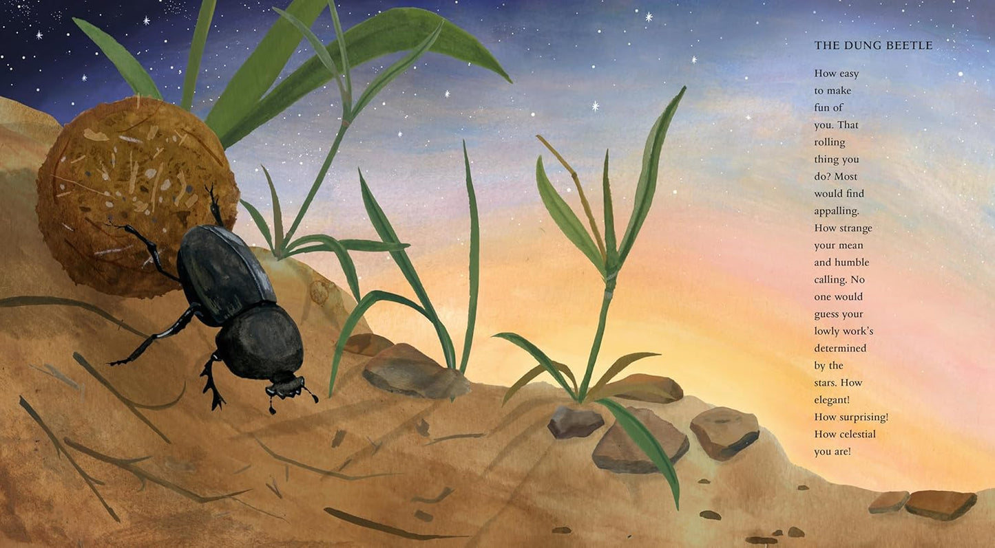 In the Desert (Paws, Fins, Feathers, Claws)