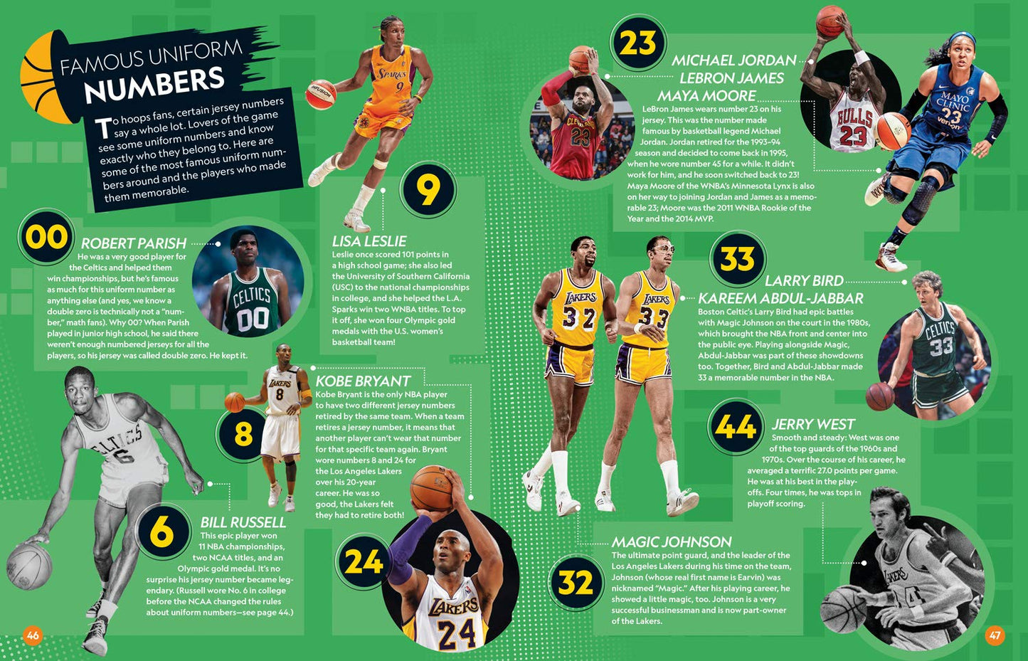 It's a Numbers Game! Basketball