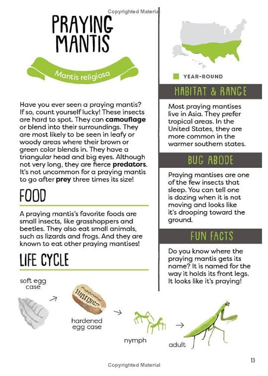 A Kid's Guide to Backyard Bugs