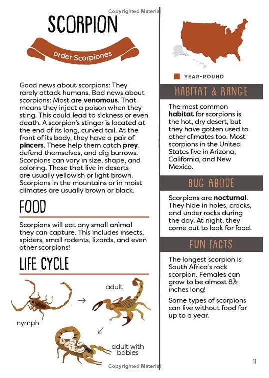 A Kid's Guide to Backyard Bugs