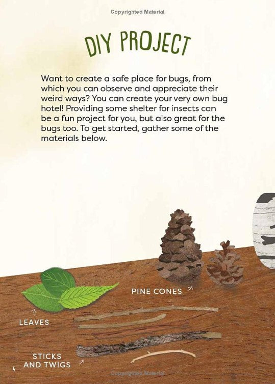 A Kid's Guide to Backyard Bugs