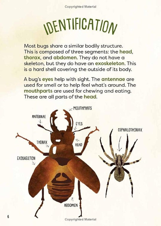 A Kid's Guide to Backyard Bugs
