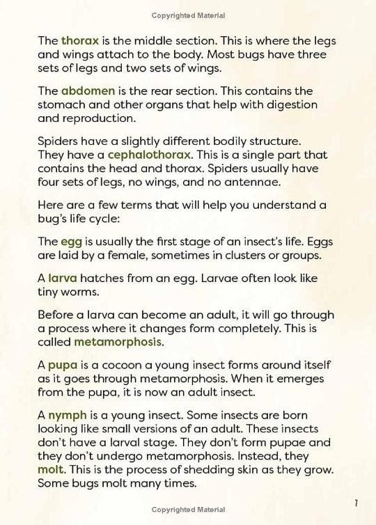 A Kid's Guide to Backyard Bugs