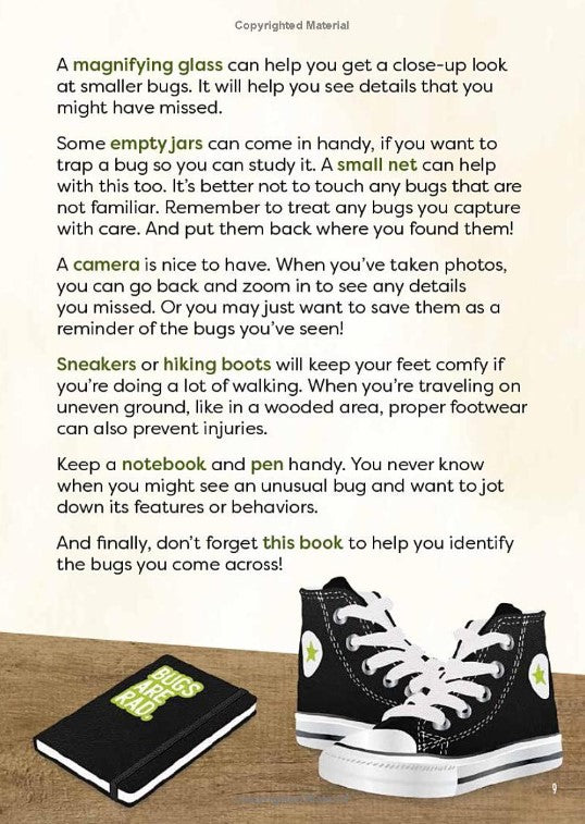 A Kid's Guide to Backyard Bugs