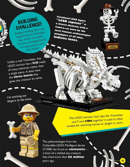 LEGO Amazing But True: Fun Facts about the LEGO World - And Our Own!