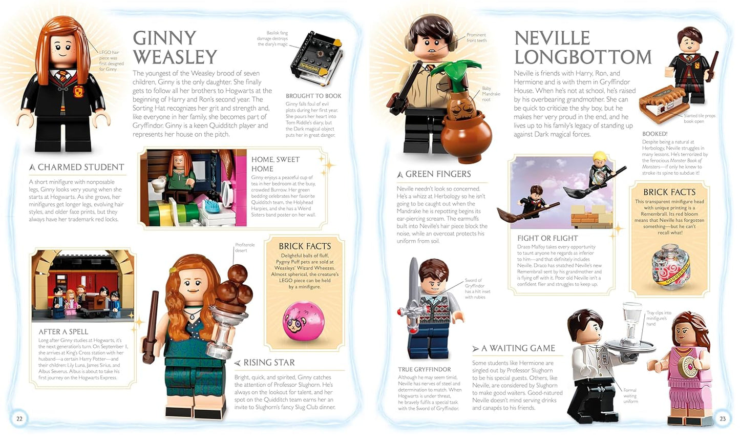 LEGO Harry Potter Visual Dictionary: With Exclusive Minifigure
