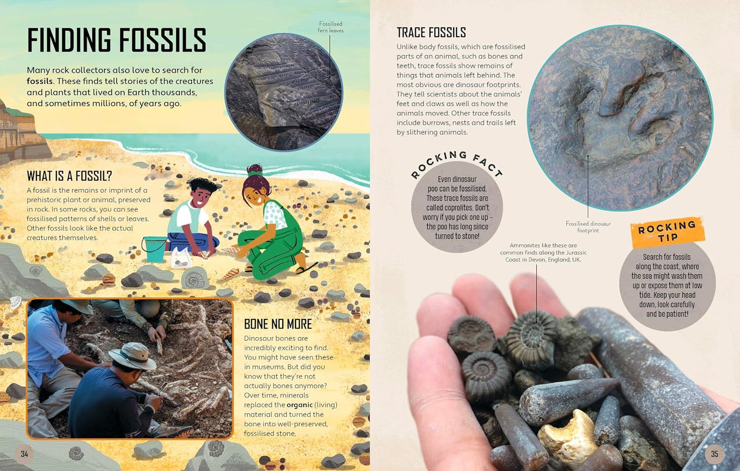 Lonely Planet Kids: Let's Go Rock Collecting
