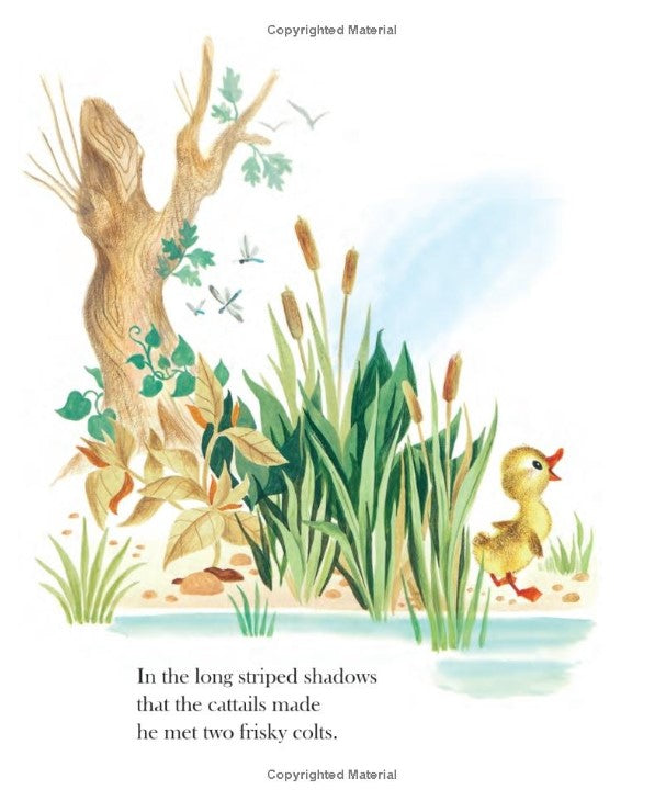 Little Golden Book: The Fuzzy Duckling