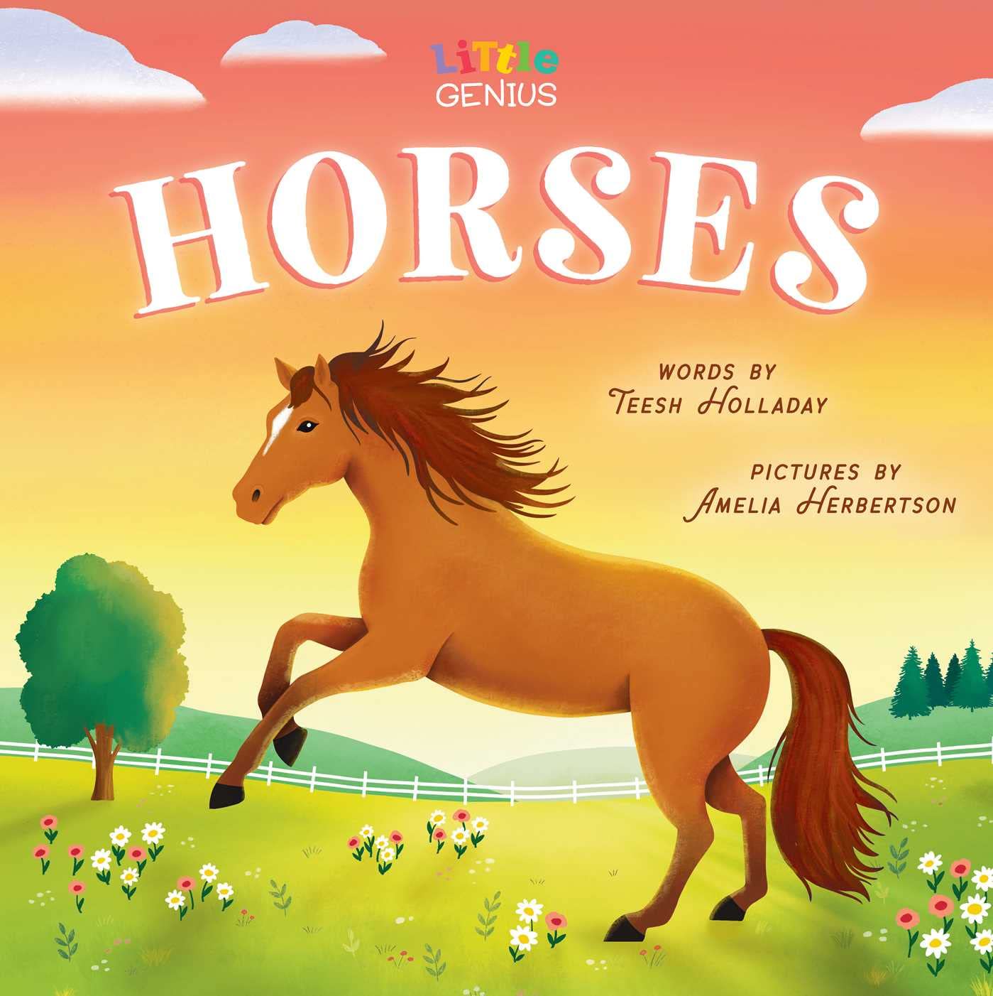 Little Genius: Horses