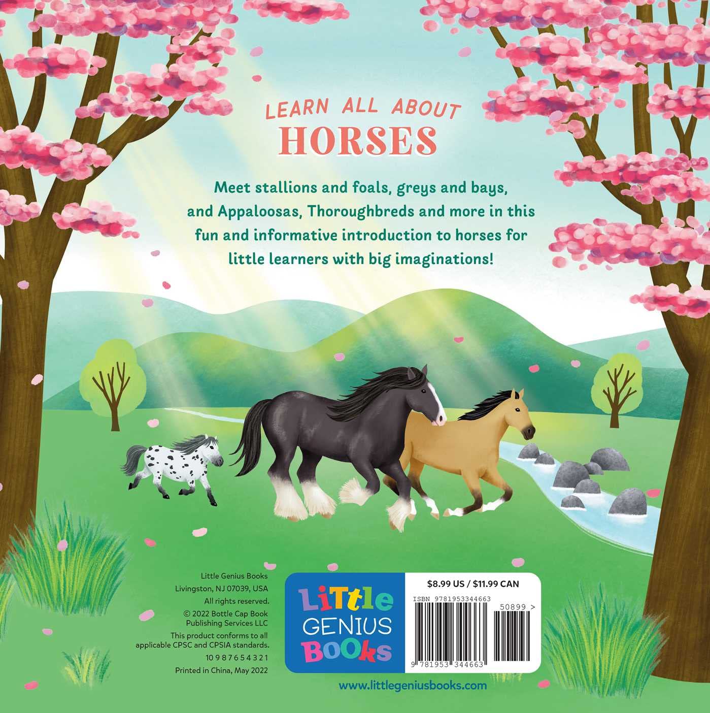 Little Genius: Horses
