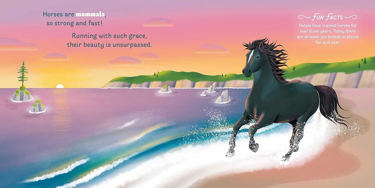 Little Genius: Horses