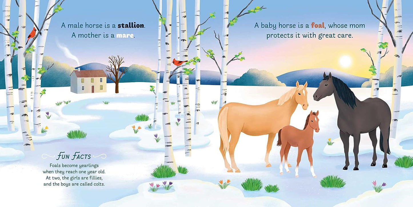 Little Genius: Horses