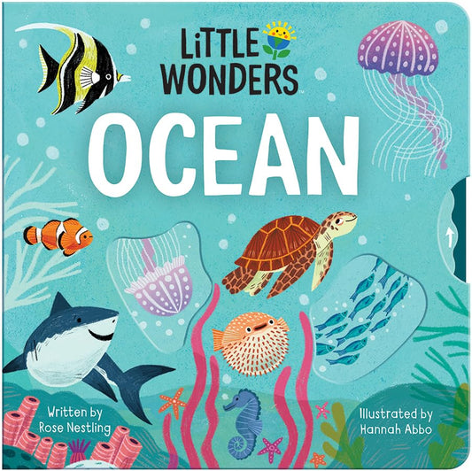 Little Wonders: Ocean