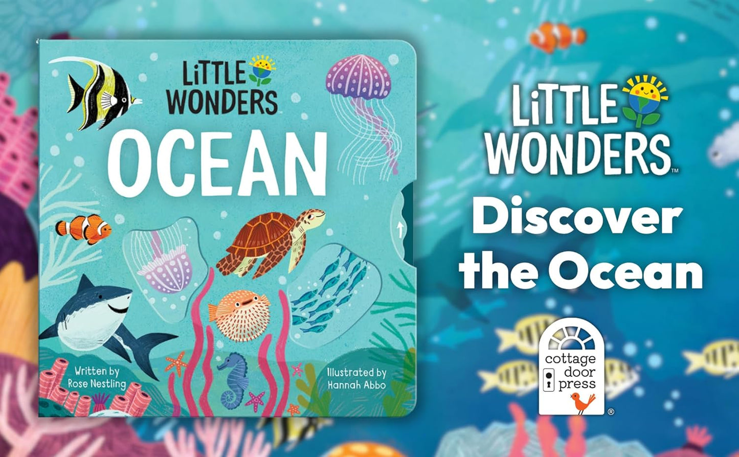 Little Wonders: Ocean