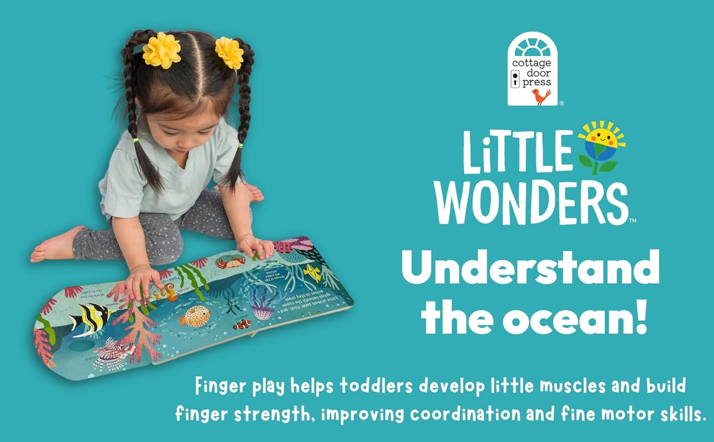 Little Wonders: Ocean