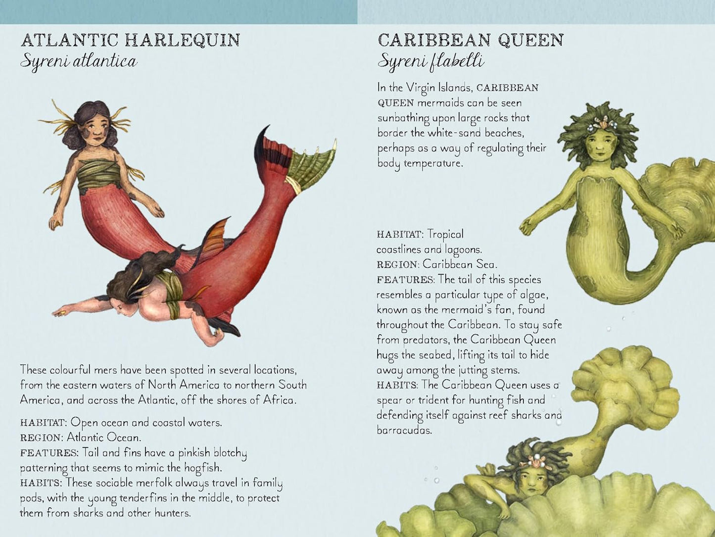 Match the Mermaids: A Memory Game