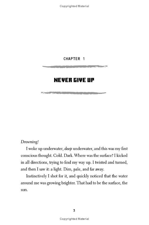 Minecraft: The Island: An Official Minecraft Novel