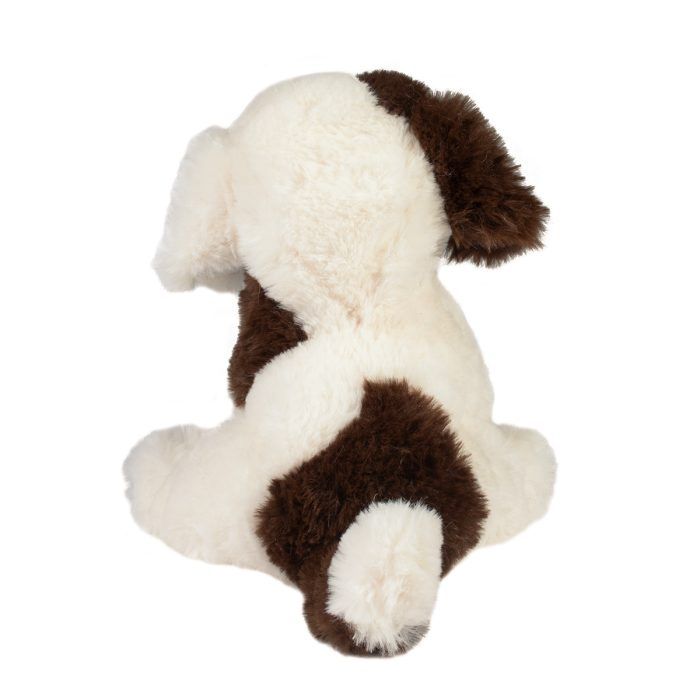 Mini Donnie Puppy