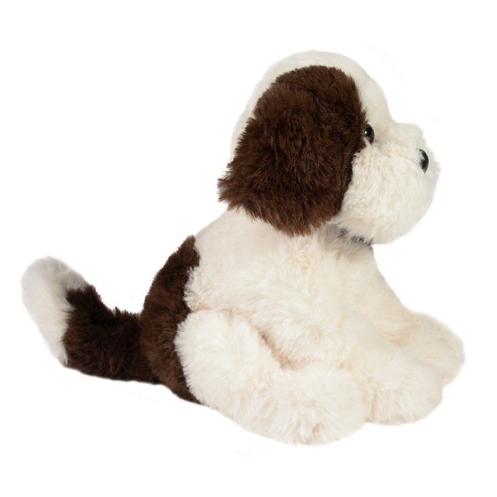 Mini Donnie Puppy