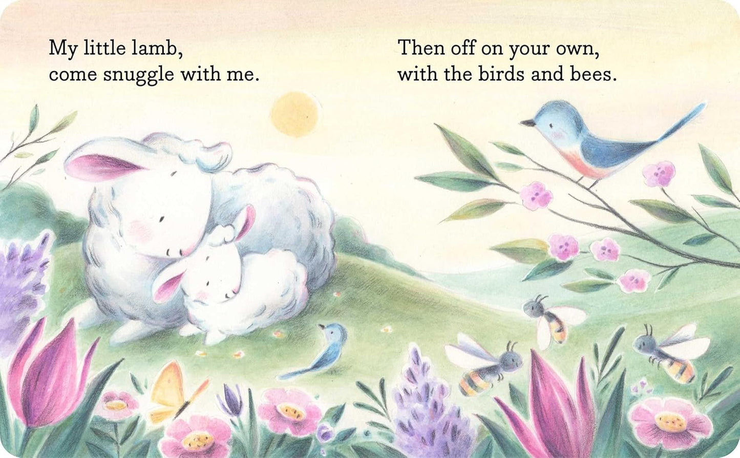 My Little Lamb