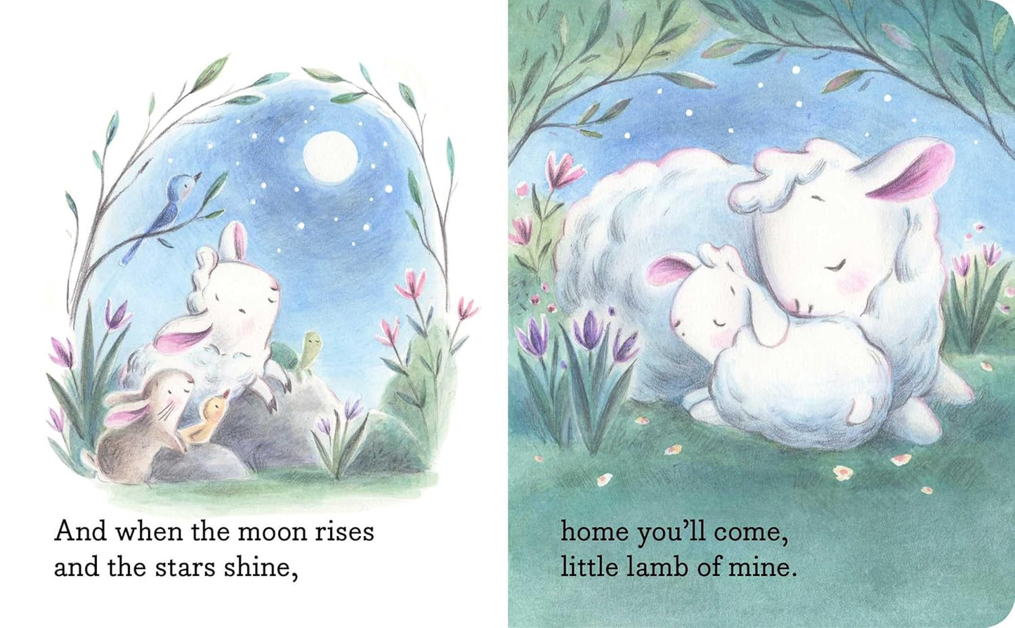 My Little Lamb