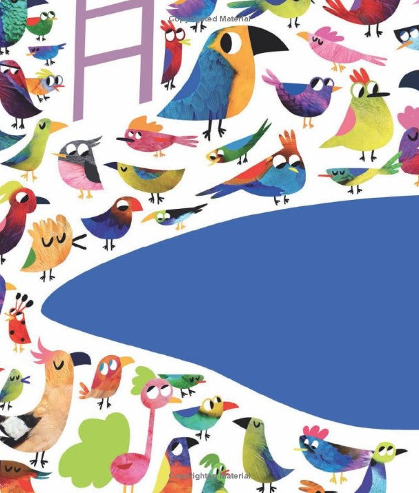 Oddbird