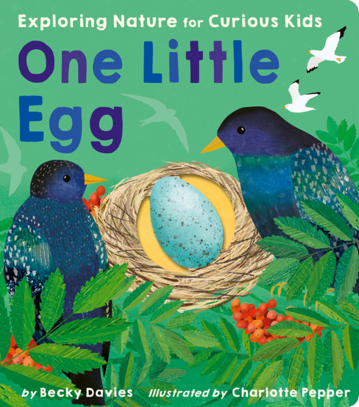 One Little Egg: Exploring Nature for Curious Kids