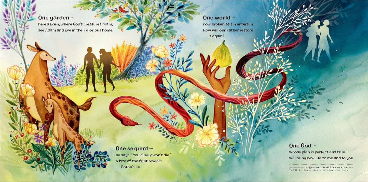 One Perfect Plan: The Bible's Big Story in Tiny Poems