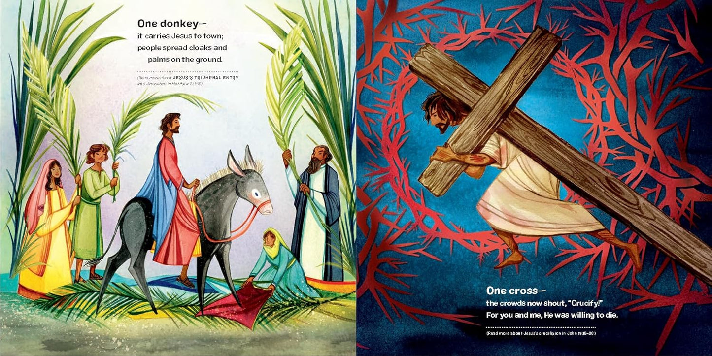 One Perfect Plan: The Bible's Big Story in Tiny Poems