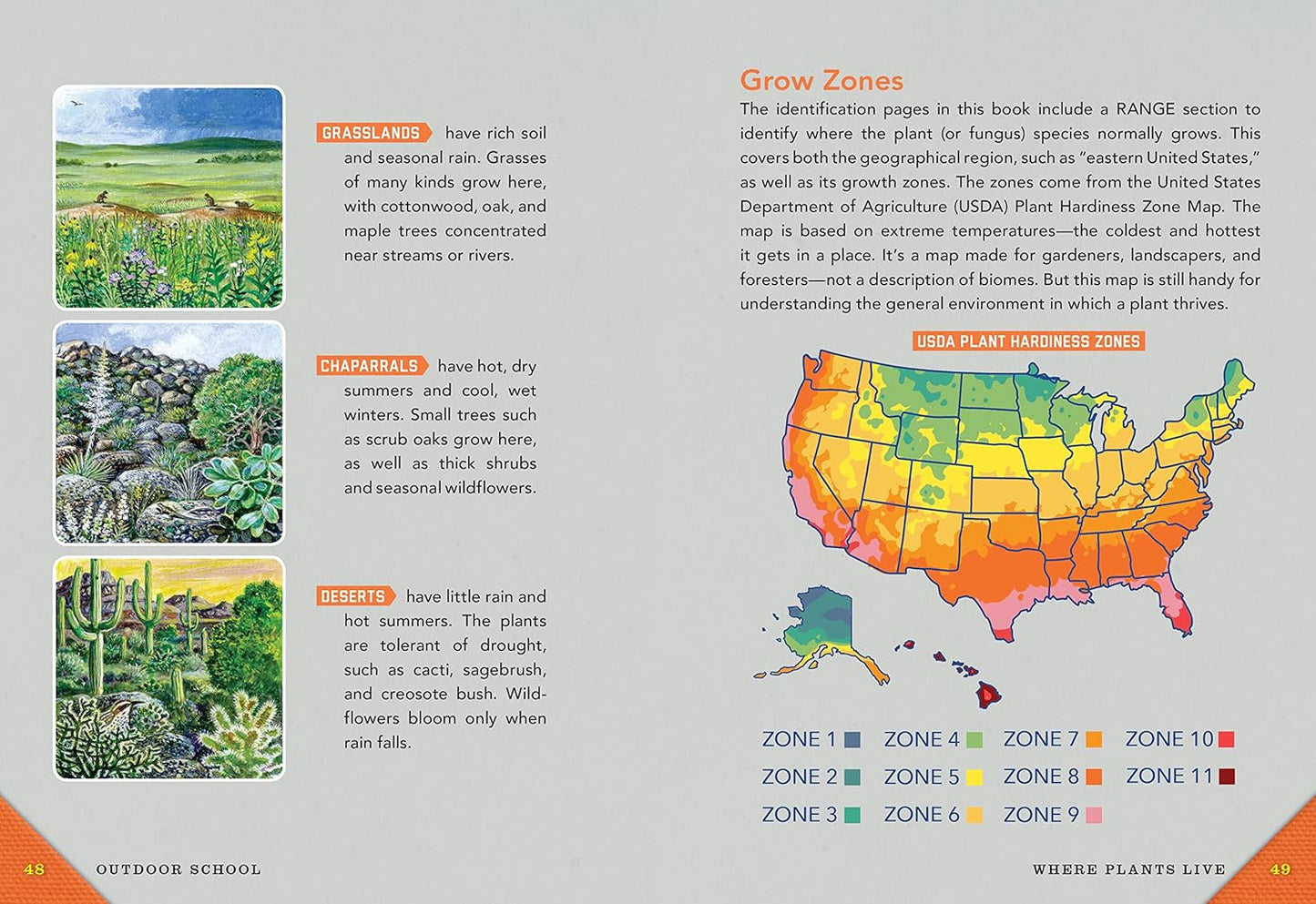 Outdoor School: Tree, Wildflower, and Mushroom Spotting