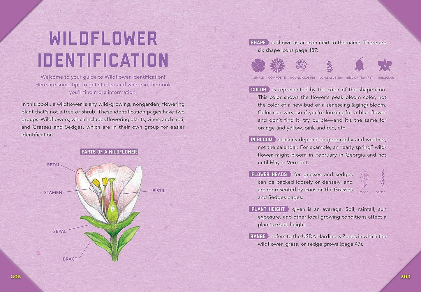 Outdoor School: Tree, Wildflower, and Mushroom Spotting