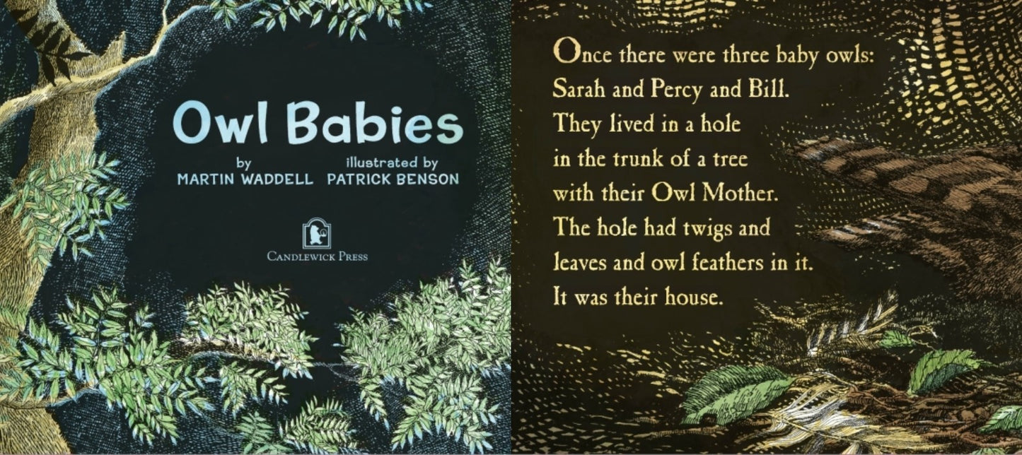 Owl Babies Padded Board Book