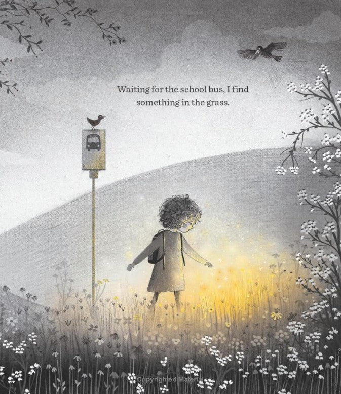 The Perfectly Perfect Wish