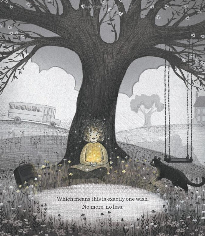 The Perfectly Perfect Wish