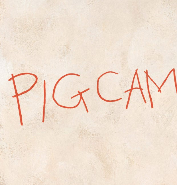 Pig the Pug: Pig the Winner