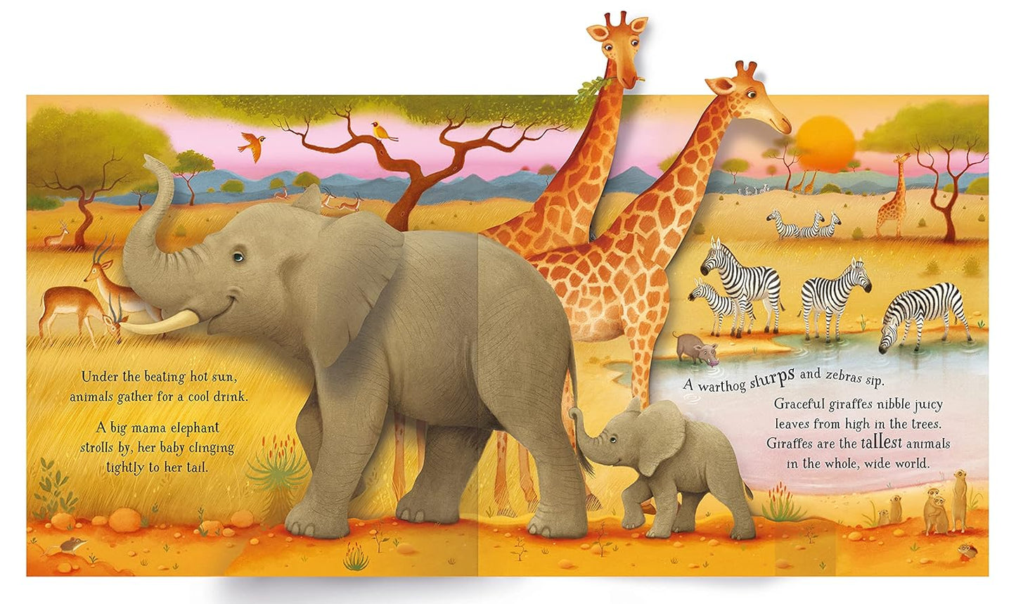 Usborne Pop-Up Animals