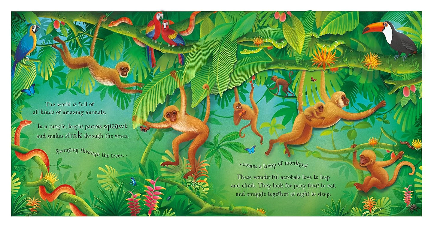 Usborne Pop-Up Animals