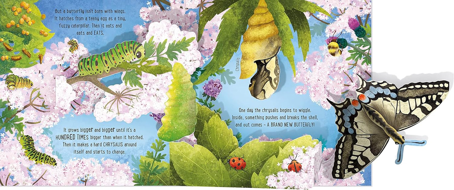 Usborne Pop-Up Butterflies