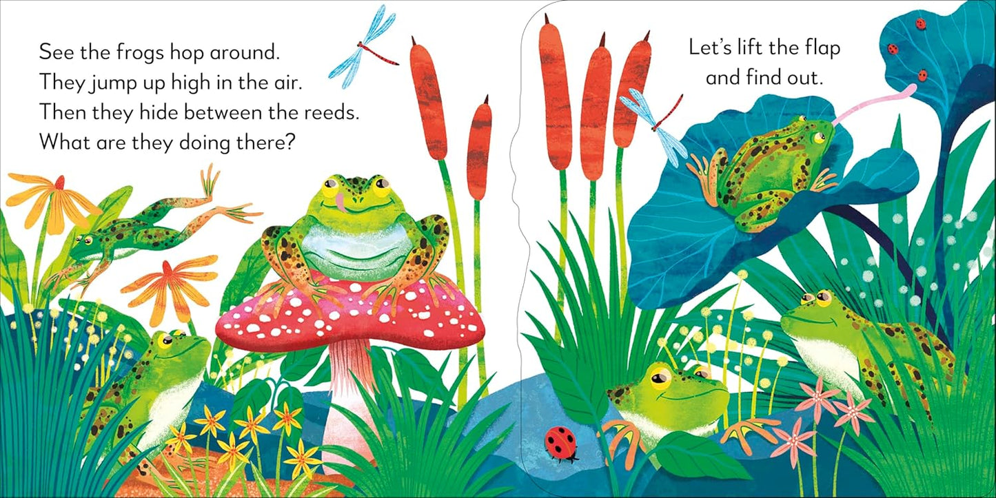 Pop-Up Peekaboo! Frog