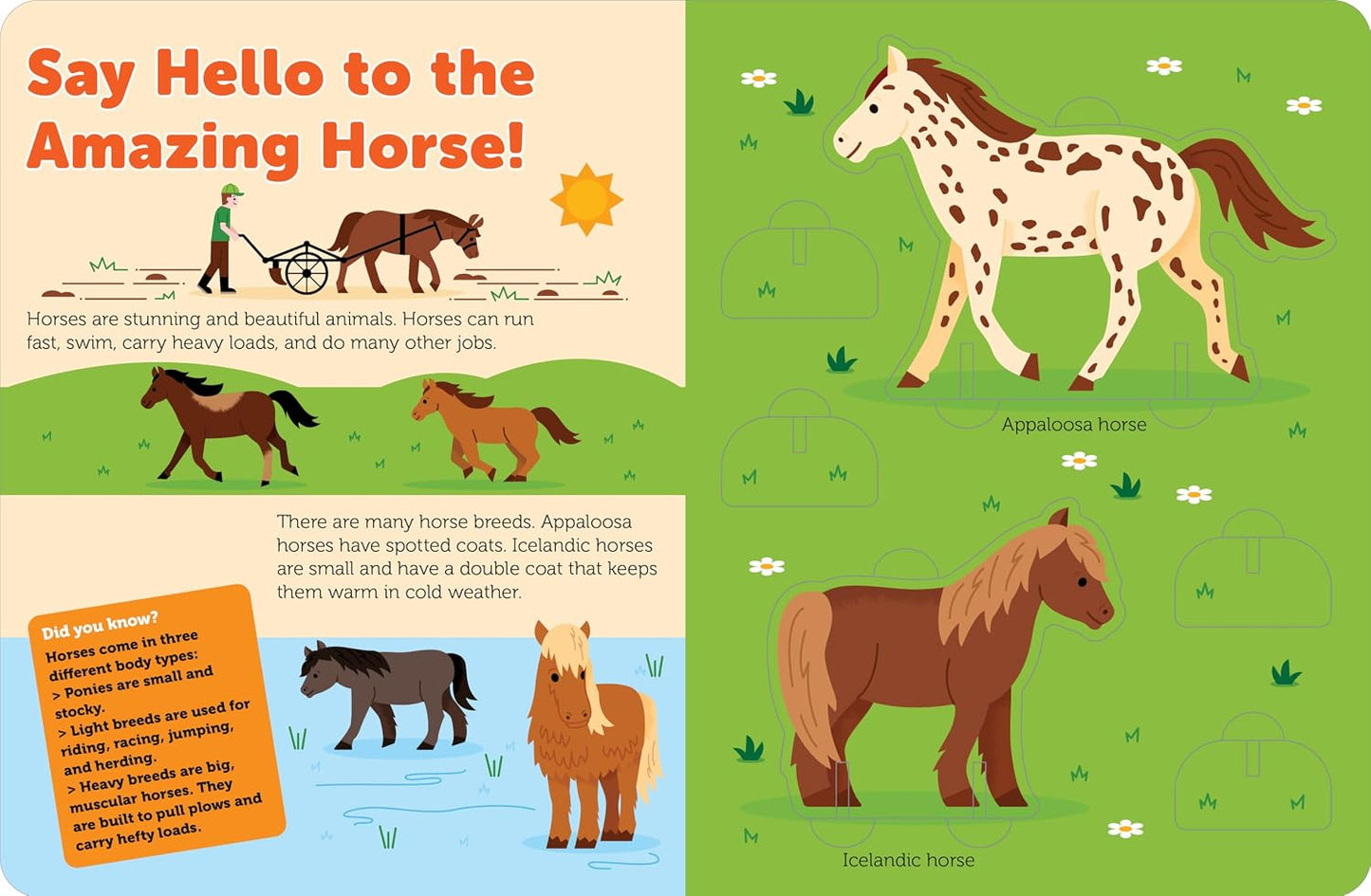 Pop Out Horses: Read, Build, and Play with These Fantastic Horses and Ponies