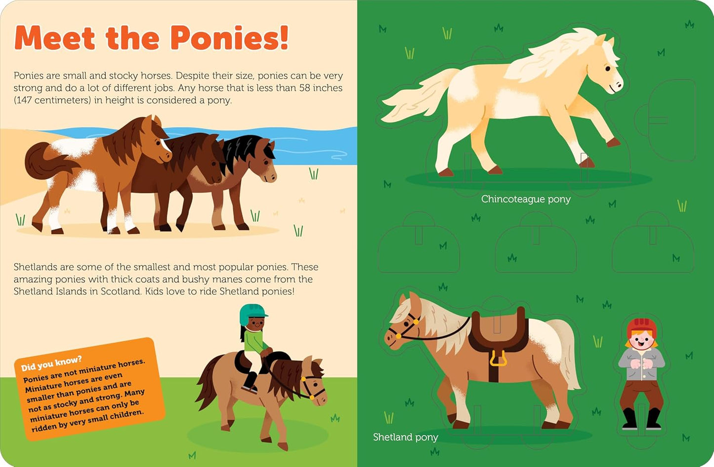 Pop Out Horses: Read, Build, and Play with These Fantastic Horses and Ponies