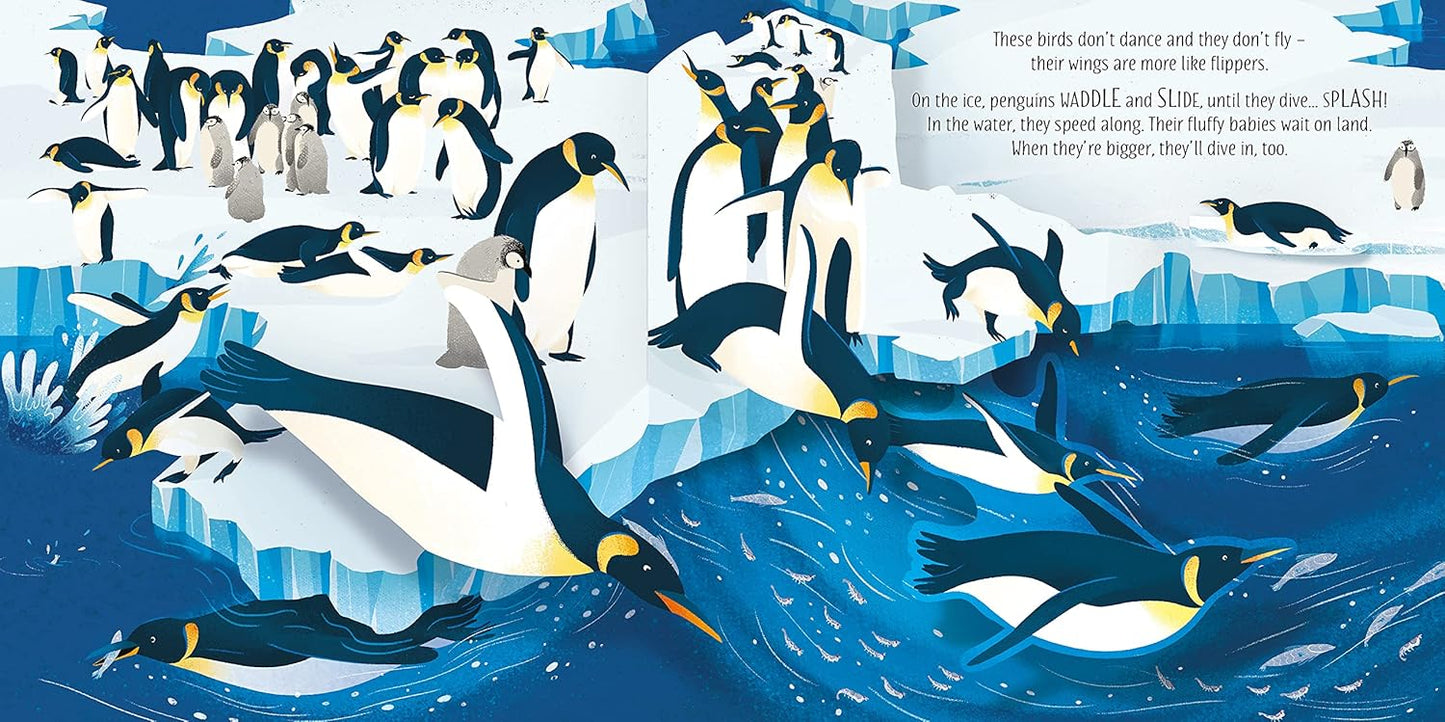 Usborne Pop-Up Birds