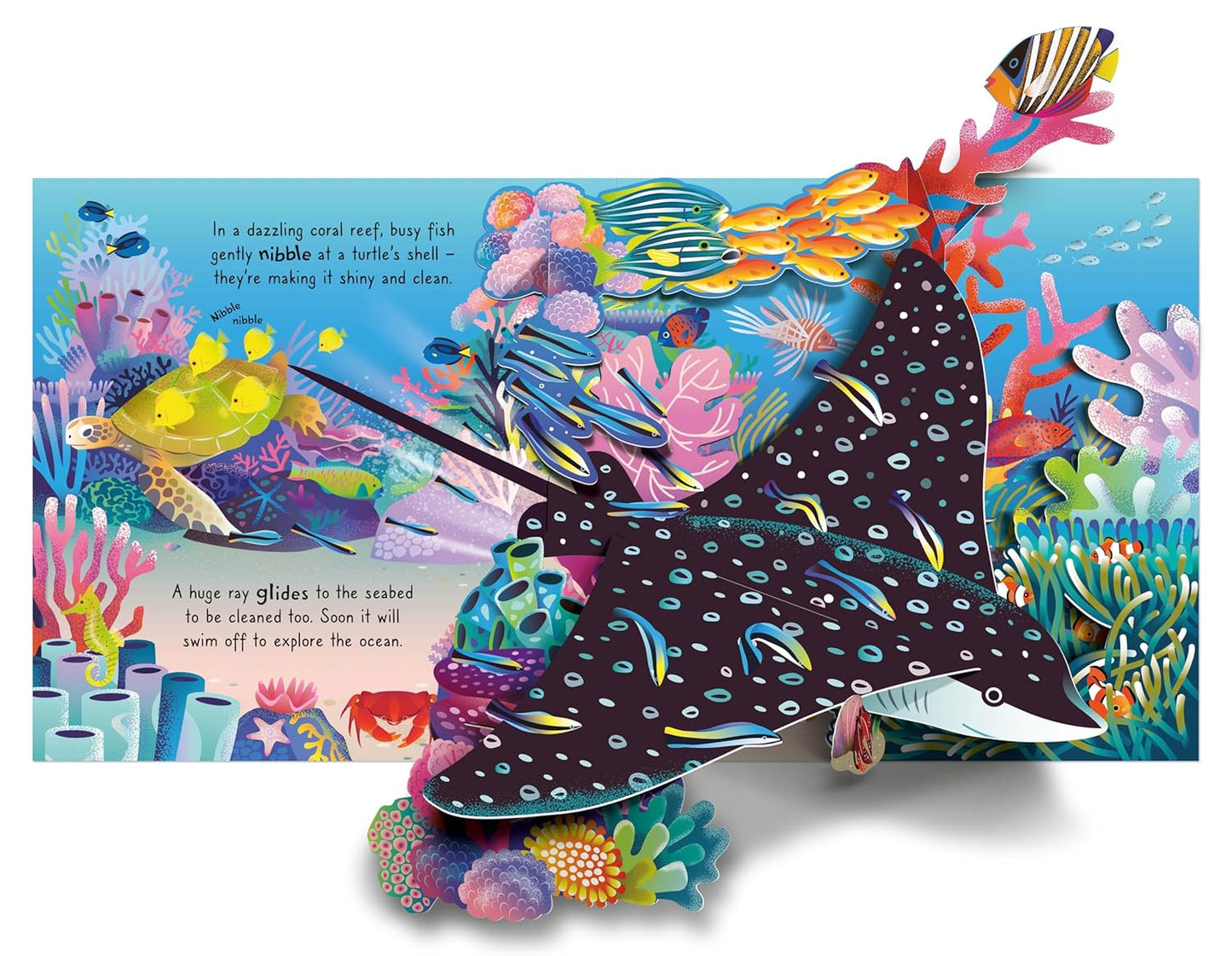 Usborne Pop-Up Ocean